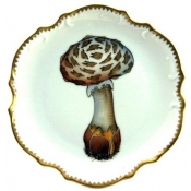 Anna Weatherley Forest Mushroom Bread Plate