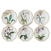 Alberto Pinto / Pinto Paris Histories D' Orchidees Dinner Plates - Set of 6