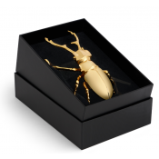 L'Objet Longhorn Bottle Opener