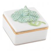 Herend Clover Box - Keylime