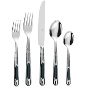 5 Piece Place Setting