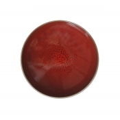 Jars Tourron Cerise/Red Dessert Plate - 7.8"