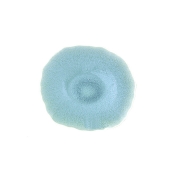 Jars Plume Atoll/Blue Dessert/Plate - 8.1"
