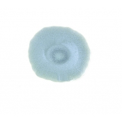 Jars Plume Atoll/Blue Bread + Butter Plate - 5.3"