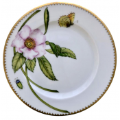 Anna Weatherley Peony Pink Salad