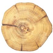 Kim Seybert Woodland Placemat Natural & Brown - Set 4