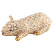 Herend Daisy the Pig - Butterscotch