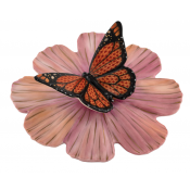 Herend Reserve Collection Monarch on Cosmos