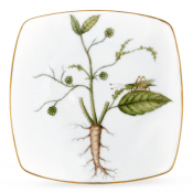 Anna Weatherley Anna's Garden Bread Plate